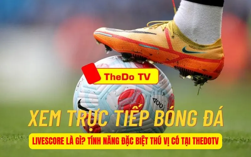 Livescore Là Gì? Tính Năng Đặc Biệt Thú Vị Có Tại ThedoTV