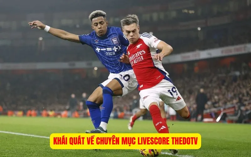 Khái quát về chuyên mục Livescore ThedoTV